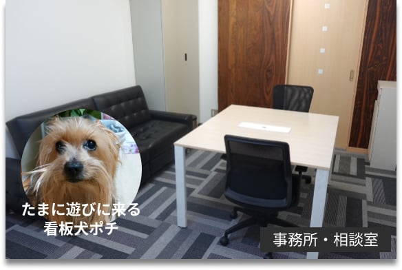 たまに遊びに来る看板犬ポチ事務所・相談室